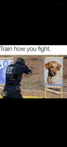 Screenshot_20250314_104317_Gallery