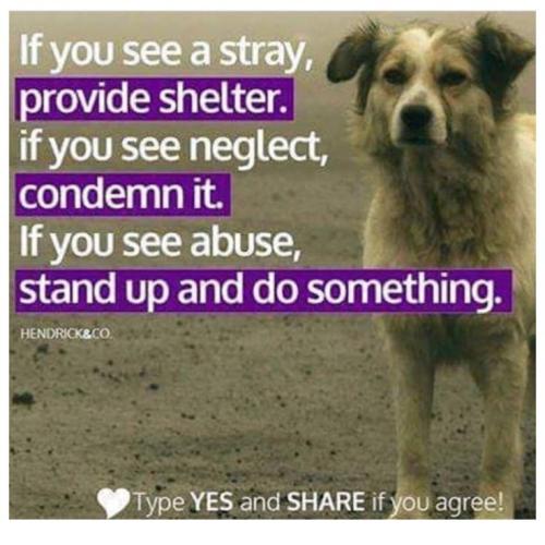 026e0b91e15da16004d08652906d7578