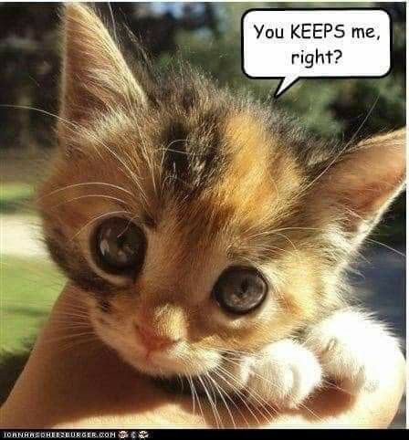 ffb55d30e530ab2418374ea401999e33