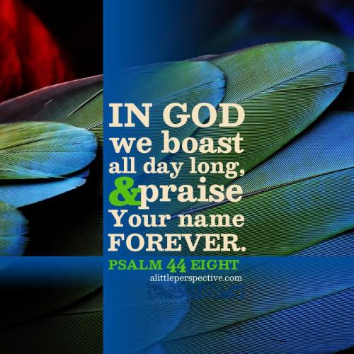 psa-44-8-lifeofpix-9x