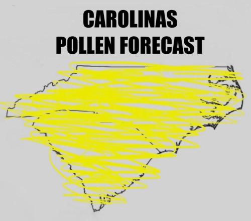 639F1C1D-02D9-44F8-80A9-963984FC8818