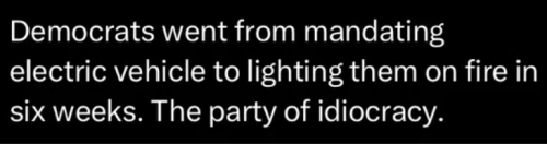 image_2025-03-14_064812570