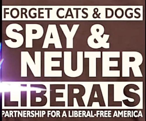 FB_IMG_1743261377919