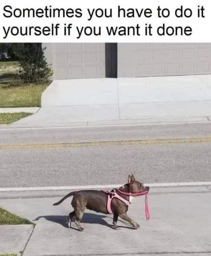 FB_IMG_1741809945141