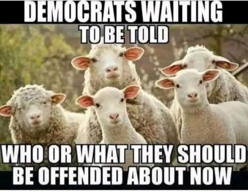 2ed99689-b655-4b7e-874f-2fed3280adb7