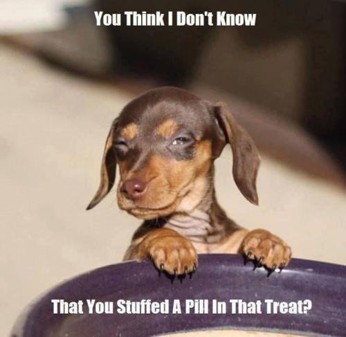 FB_IMG_1741355970827