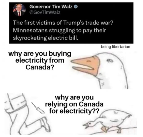 Screenshot 2025-03-11 192155