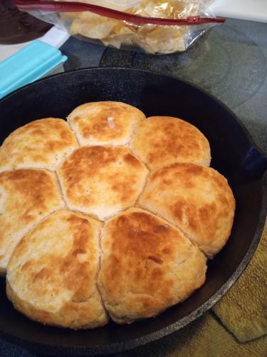 IMG_20250315_095826757