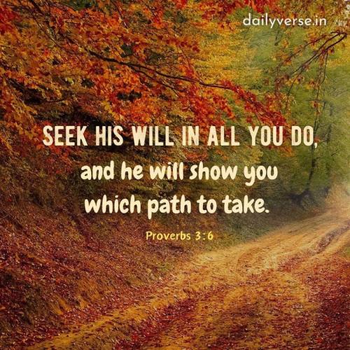 480314044_122212167542228059_5081432812651309458_n