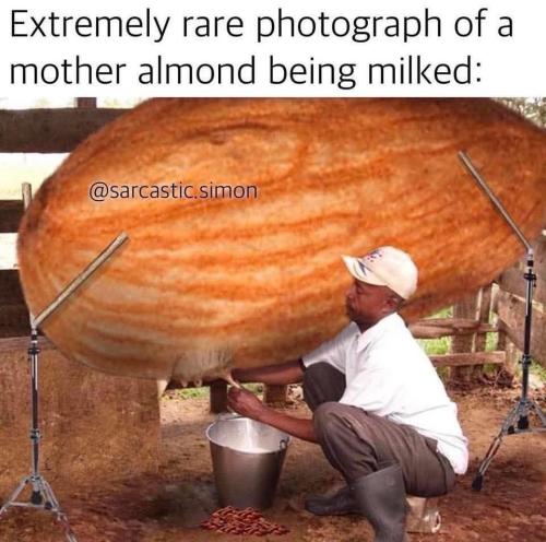 IMG_20250330_202543_580