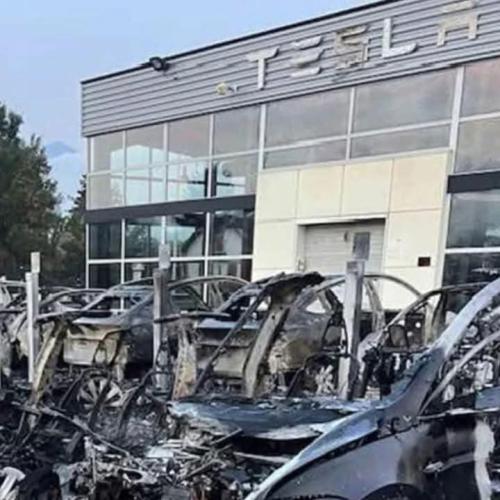 FB_IMG_1741621146879