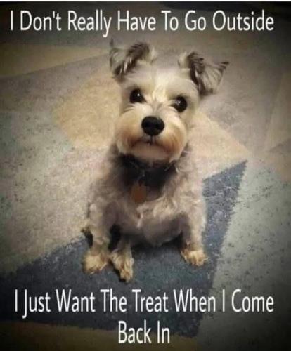 FB_IMG_1742134150868