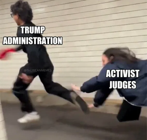 image_2025-03-22_082225391