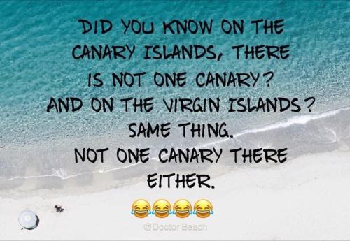 E4C9D763-C85F-4095-8F3E-DAE93AA065F1