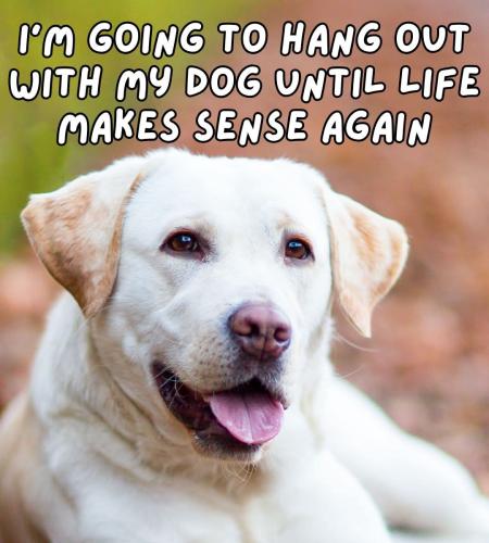 FB_IMG_1742937013430