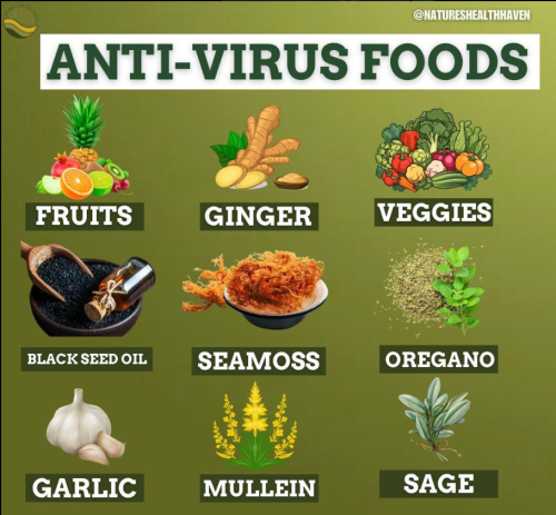 Screenshot 2025-03-11 104744