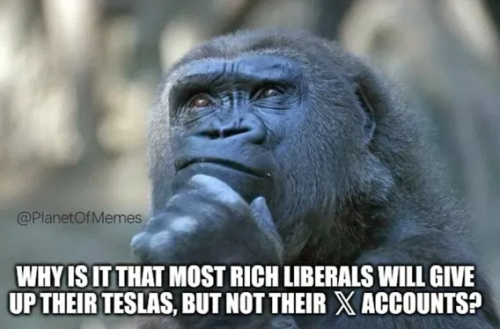 image_2025-03-18_061449483