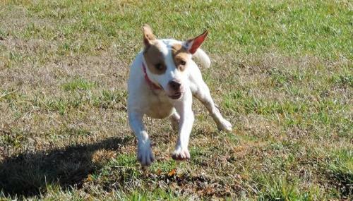 19:32:41 GMT-0600 (CST)