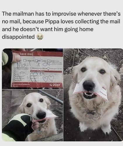 2280AB01-B02C-4E9C-B52F-6B1DA562D2A5