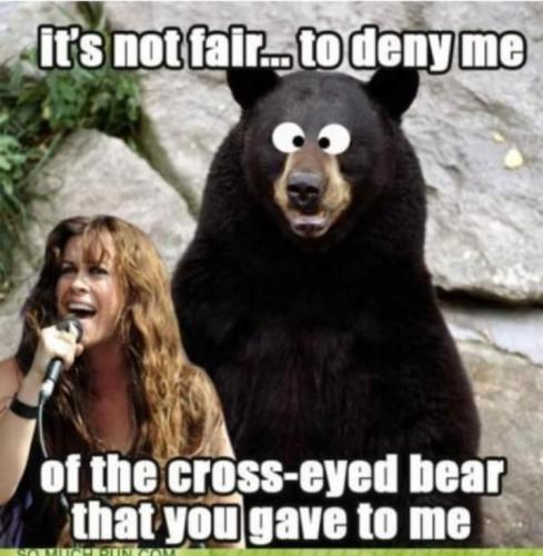 Screenshot_20250306_153249_Gallery