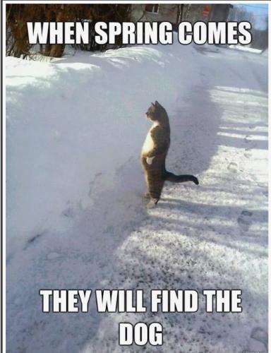 Screenshot_20250322_060715_Brave