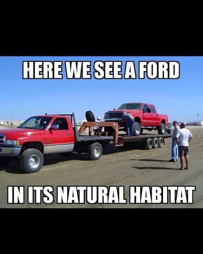 FB_IMG_1742923462212