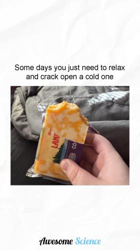 FB_IMG_1741013968885