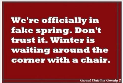 FB_IMG_1743335585302