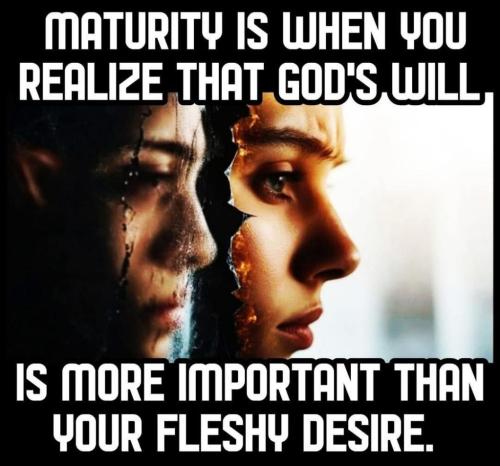 3a1fd574-c5a4-4f15-bc2c-9a364e3cd458