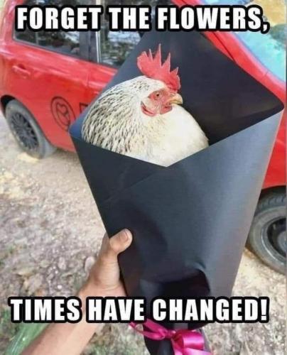 20250320_115655