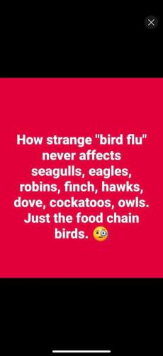 Screenshot_20250317_210203_YouTube