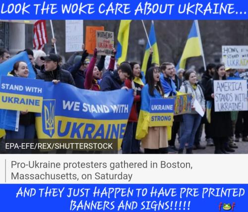 Screenshot_20250302_141854_Chrome