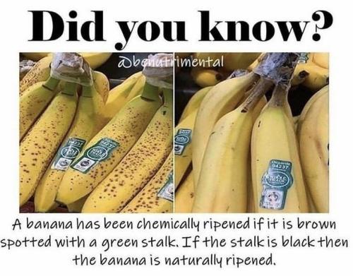 6a2190c3009cdbcf0eb645a8d9c91f80