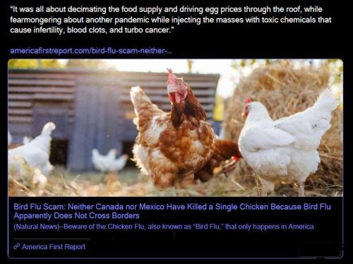 2025-03-15 at 10-56-07_cr