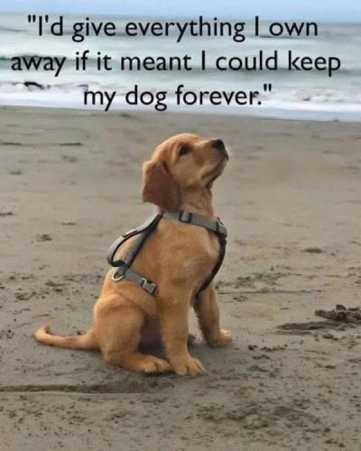 FB_IMG_1742726091589