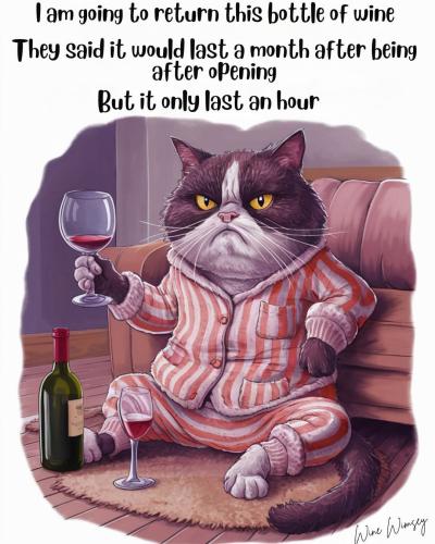 FB_IMG_1741461195622