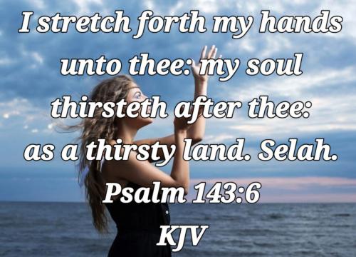 1b023459-cb3d-4f9b-a5da-f40cae79c06a