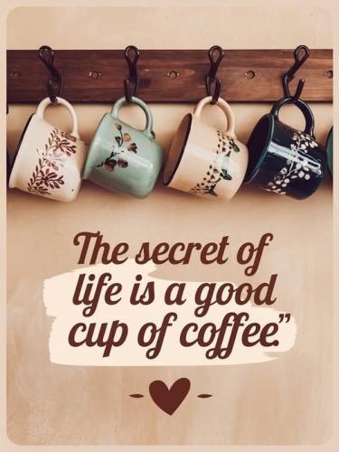 480878217_1382854659353569_2217408683117499503_n