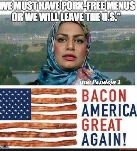 eff18e07675f0bea24c9652c7ae5e50bf10475796e0c0f4a18ab365be991134e_1