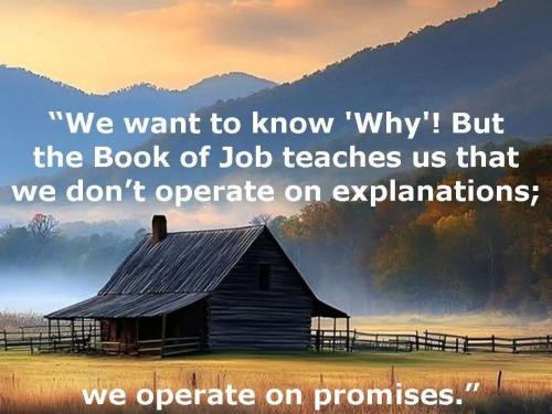 64dc3237-c6a8-41b8-99ab-40310f371fd9