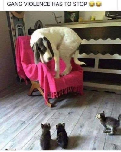 b86a9a50f25cd45d41d12b3da7d19aaa