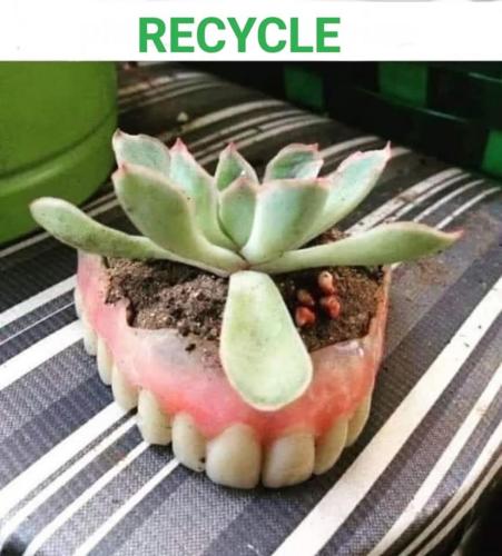 FB_IMG_1742057154907