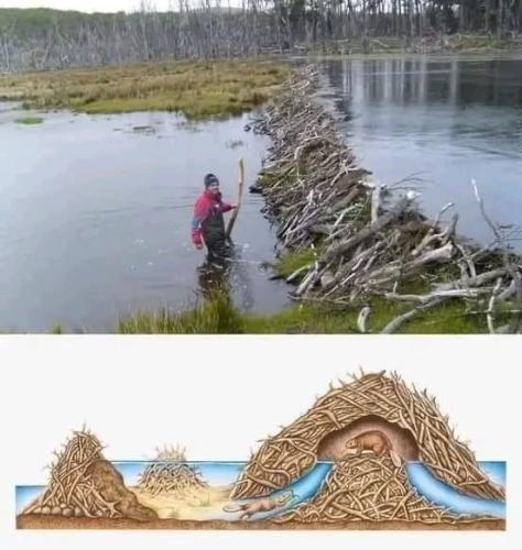 6EC0B84E-C983-43EE-8E9D-050005689208