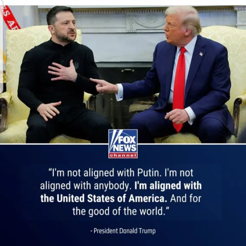 image_2025-03-03_062710932