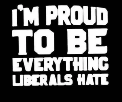 image_2025-03-22_082950319