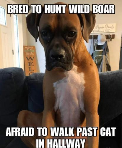 69CF2A37-2CE1-4DA0-839E-205148428695