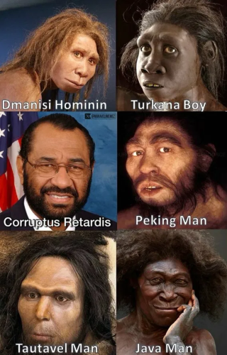 image_2025-03-07_064303545