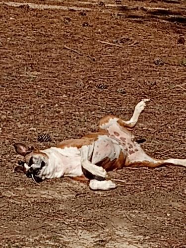 IMG_20250312_102048709