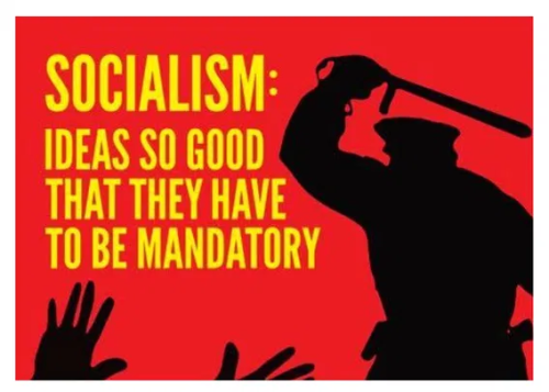 image_2025-03-27_065623049