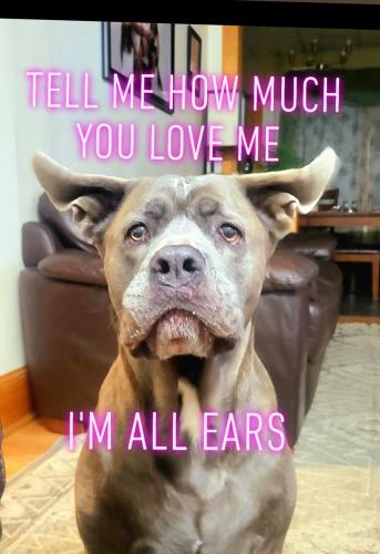 FB_IMG_1743017883454